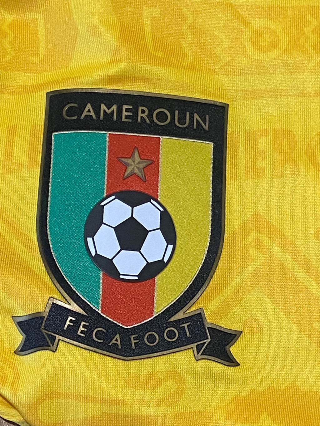 Maillot de foot du Cameroun (porté N.15 WEBO) match qualification Coupe du monde 2014