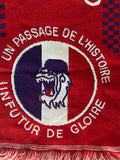 Echarpe de foot de l’OL LYON groupe BAD GONES Scarf Supporter COLLECTOR