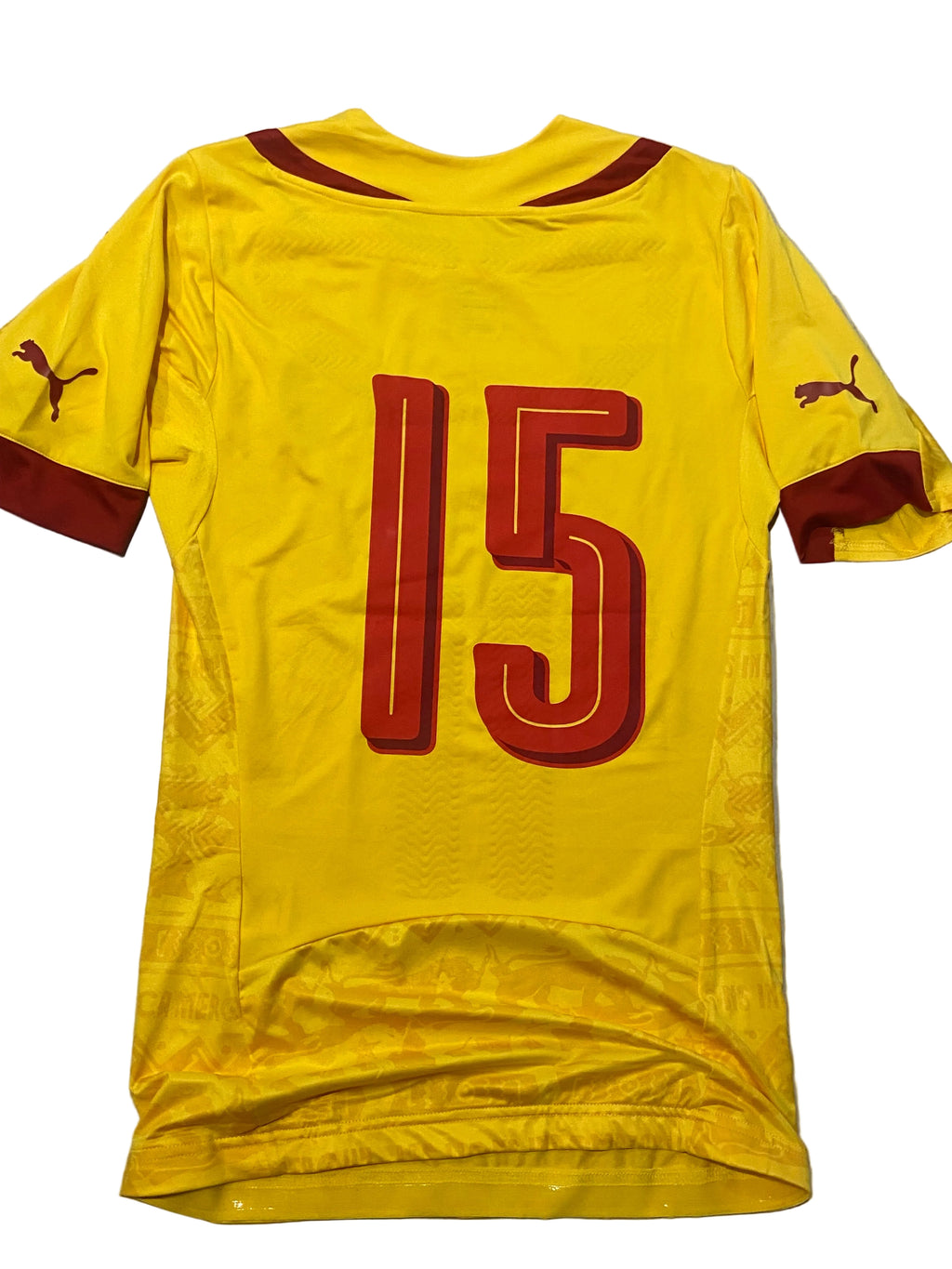 Maillot de foot du Cameroun (porté N.15 WEBO) match qualification Coupe du monde 2014