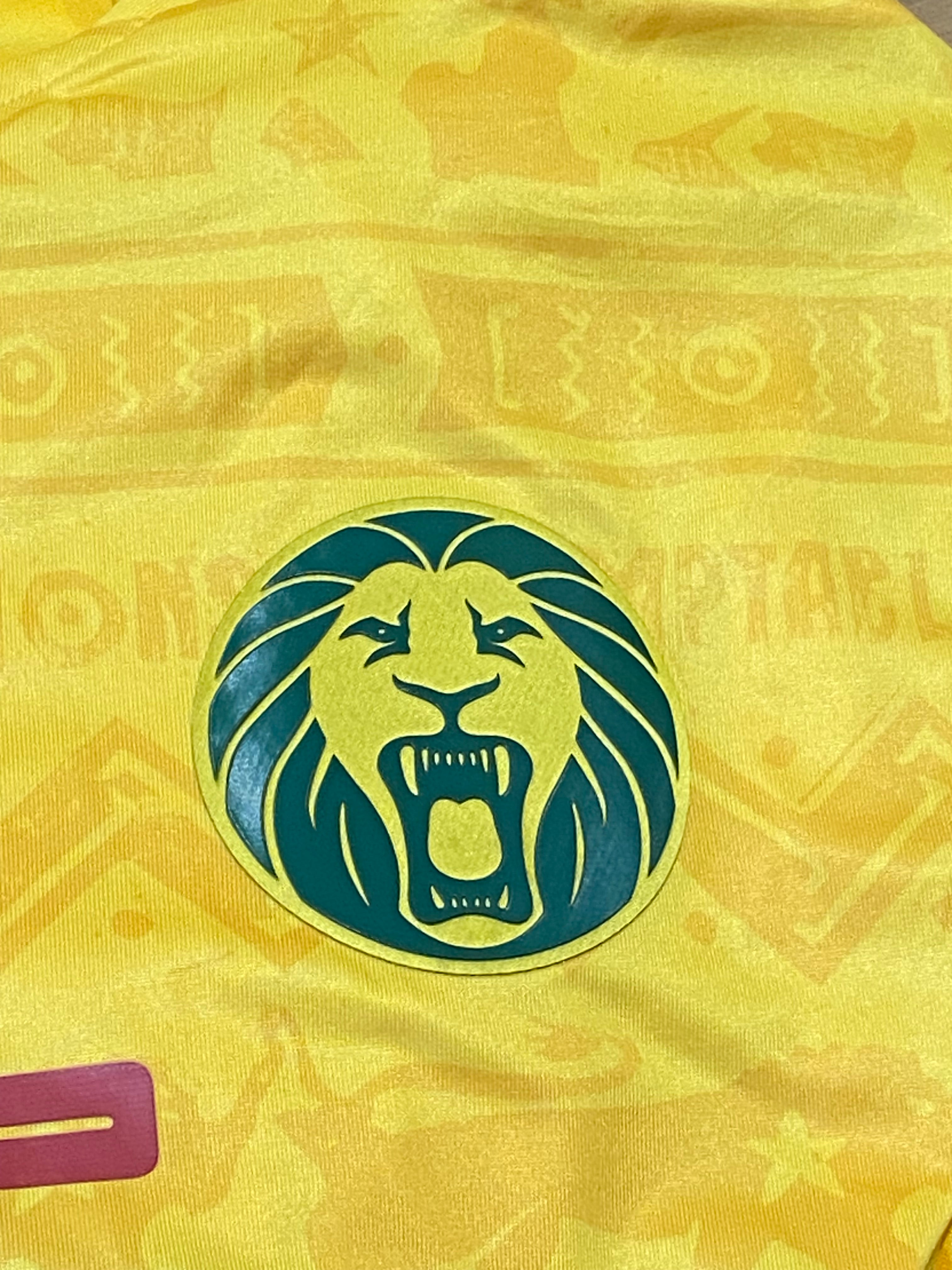 Maillot de foot du Cameroun (porté N.15 WEBO) match qualification Coupe du monde 2014