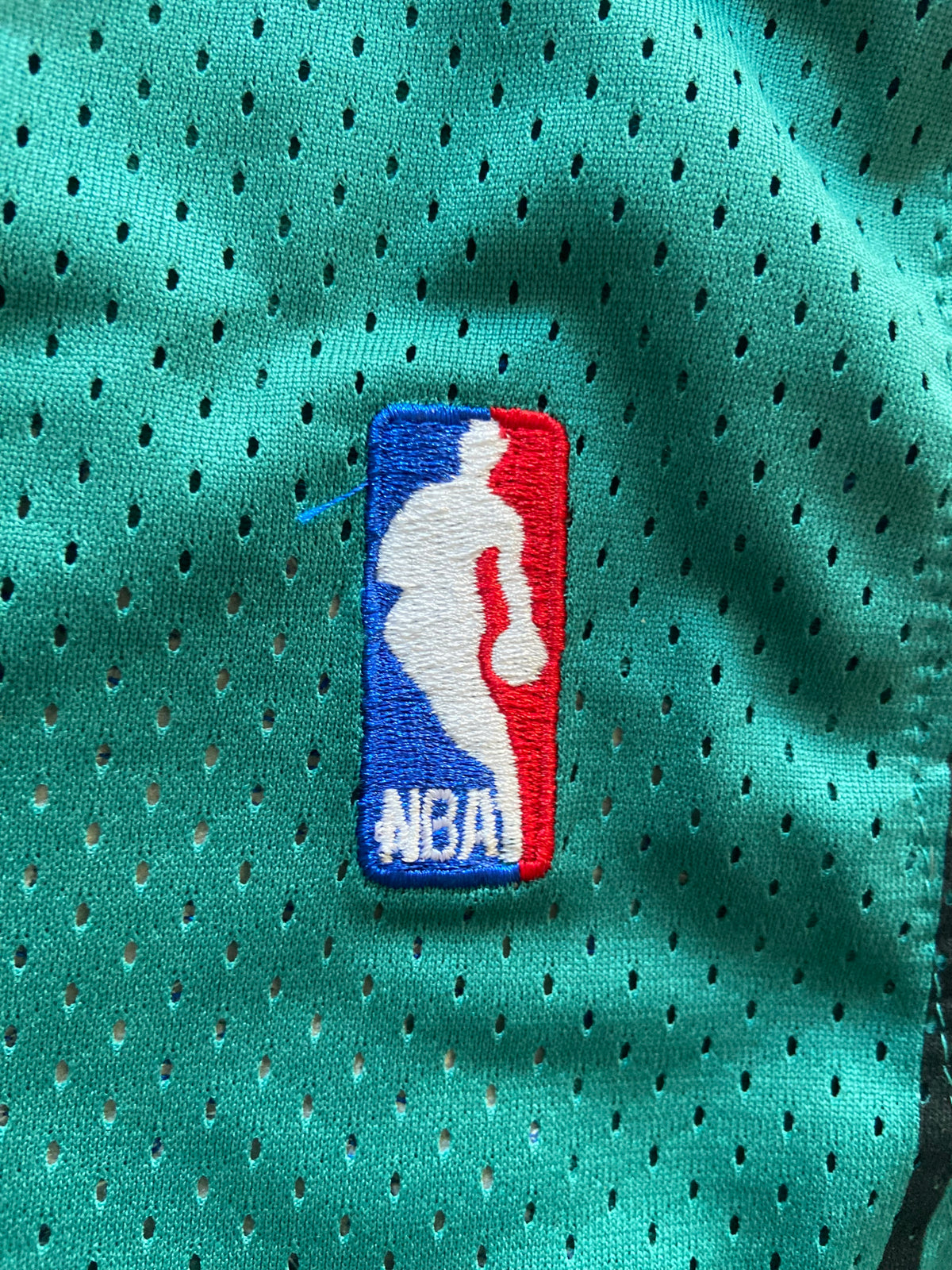 Maillot MITCHELL & NESS de BASKET-BÀLL de l’équipe des CHARLOTTE HORNETS (N.2 JOHNSON) année 1992-93